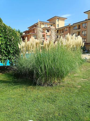 Magic Dreams Apartments Sveti Vlas Dış mekan fotoğraf